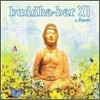 Buddha Bar XI (By Ravin) (부다 바 11집)