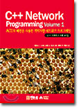 C++ Network Programming Vol 1