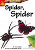 Sunshine Readers Level 1 : Spider Spider (Book & QR코드)