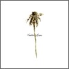Patrick Watson - Wooden Arms