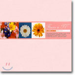 Flowers In TV