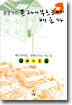 환경 수도, 프라이부르크에서 배운다