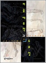 미술 해부학과 드로잉