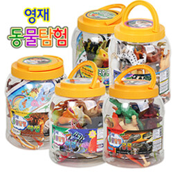 영재동물탐험