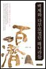 백제와 다무로였던 왜나라들