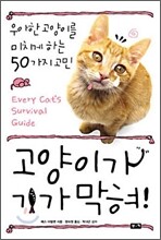 고양이가 기가막혀