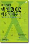 엑셀 2002 확실히 배우기