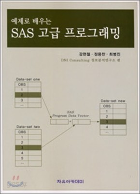 SAS 고급 프로그래밍