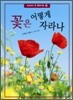 꽃은 어떻게 자라나