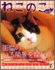 ねこのこ vol.3