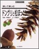 探して樂しむドングリと松ぼっくり