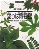 調べて樂しむ葉っぱ博物館