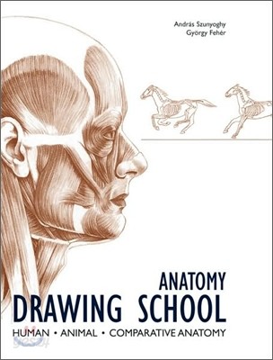 Anatomy Drawing School