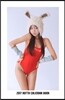 2017 ROTTA CALENDAR BOOK