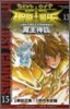 聖鬪士星矢 THE LOST CANVAS 冥王神話 15
