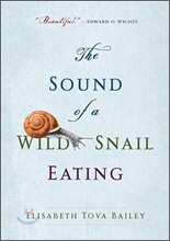 The Sound of a Wild Snail Eating