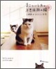 まこという名の不思議顔の猫(3)三姉弟のラララな生活
