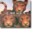 열 개의 눈동자