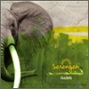 세렝게티 (Serengeti) 2집 - OASIS