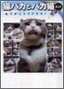 猫バカとバカ猫 R.I.P.