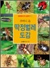 주머니 속 딱정벌레 도감