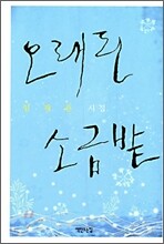 오래된 소금밭