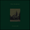 Peter Broderick - Grunewald (EP)(LP)