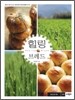 힐링 브레드