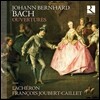 L'Acheron 요한 베른하르트 바흐: 관현악 모음곡 [서곡집] (Johann Bernhard Bach: Ouvertures) 라셰롱, 프랑스와 주베르-카이예