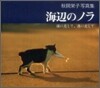 海邊のノラ