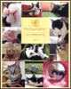Cat Photographer
