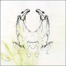 My Brightest Diamond - Tear It Down