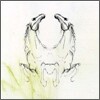 My Brightest Diamond - Tear It Down