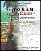 The Torah in Living Color: The Book of Deuteronomy