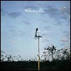 Cluster & Brian Eno - Cluster & Eno (180g 오디오파일 LP)