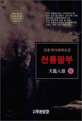 천룡팔부 6