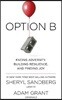 Option B