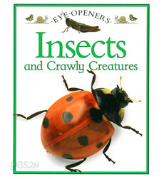 Eye Openers: Insects and Crawly Creatures