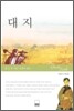 대지
