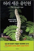 허리 세운 유인원