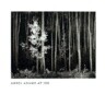 Ansel Adams at 100