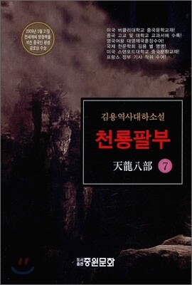 천룡팔부 7