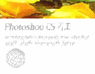 Photoshop CS 기초