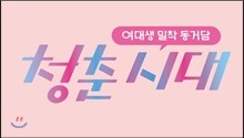 청춘시대(JTBC) 프리미엄판 DVD (일반판)