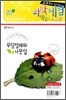 무당벌레와 나뭇잎