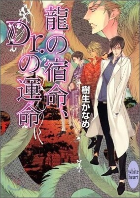 龍の宿命, Dr.の運命