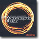 Bugge Wesseltoft (부게 베셀토프트) - New Conception Of Jazz: Sharing (뉴 컨셉션 오브 재즈: 쉐어링)