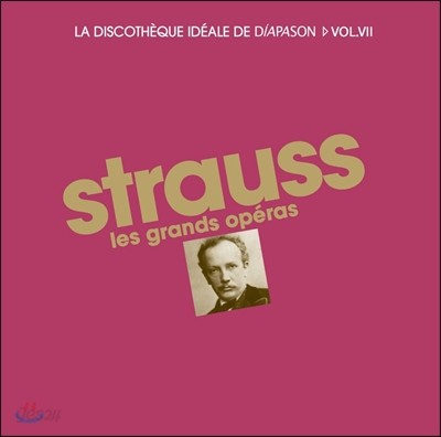 디아파종 R. 슈트라우스 오페라 명연 박스 세트 15CD (La Discotheque Ideale de Diapason Vol.7 - Strauss: Les Grands Operas)