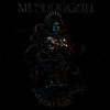Meshuggah - The Violent Sleep Of Reason (Limited Edition)(Gatefold Cover)(180G)(Pictur 2LP)