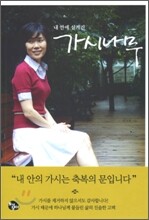 가시나무